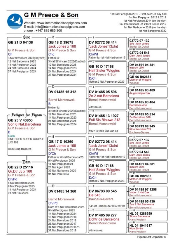PALOMA Nº 06 – GB 25 V 43853 – “LINE BRED SUPER COUPLE JJ × 168” - Imagen 2